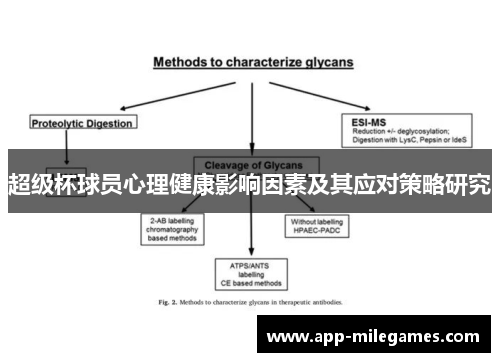 超级杯球员心理健康影响因素及其应对策略研究