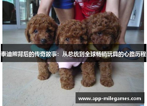 泰迪熊背后的传奇故事：从总统到全球畅销玩具的心路历程