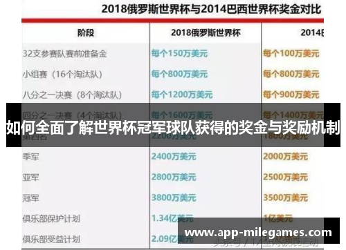 如何全面了解世界杯冠军球队获得的奖金与奖励机制