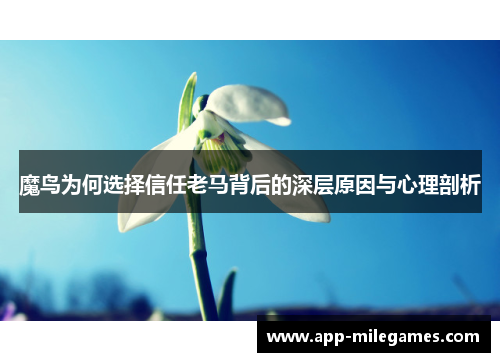 魔鸟为何选择信任老马背后的深层原因与心理剖析