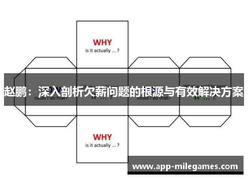 赵鹏：深入剖析欠薪问题的根源与有效解决方案