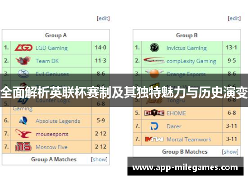 全面解析英联杯赛制及其独特魅力与历史演变