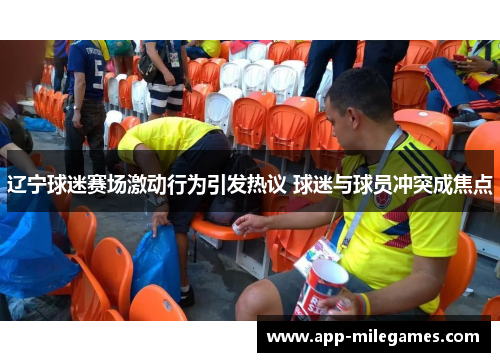辽宁球迷赛场激动行为引发热议 球迷与球员冲突成焦点 辽宁球迷赛场激动行为引发热议 球迷与球员冲突成焦点