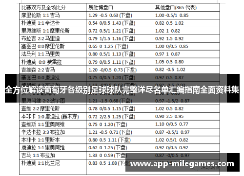 全方位解读葡萄牙各级别足球球队完整详尽名单汇编指南全面资料集 全方位解读葡萄牙各级别足球球队完整详尽名单汇编指南全面资料集