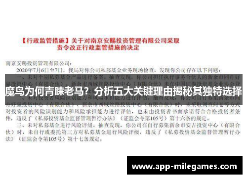 魔鸟为何青睐老马？分析五大关键理由揭秘其独特选择